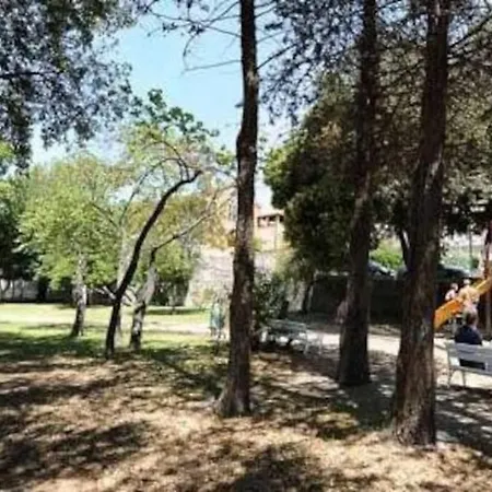 Sea Organ * 扎达尔